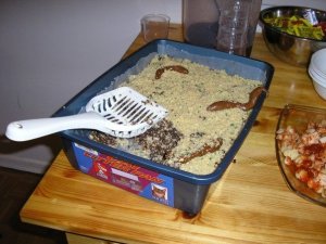 kitty litter cake 2