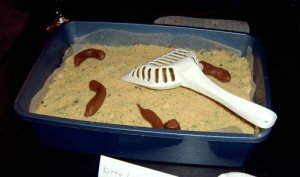 kitty litter cake