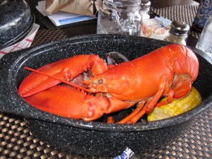 stewman's lobster