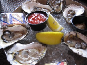maine oysters