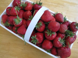 fresh picked local ontario strawberries