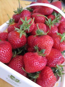 hand picked local strawberries ontario