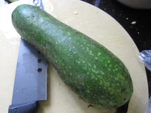 Chinese hairy gourd vegetable